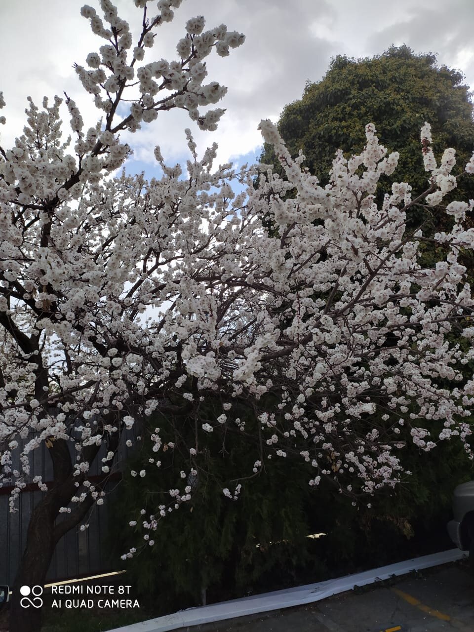 Parsian Hotel Buali-浴室