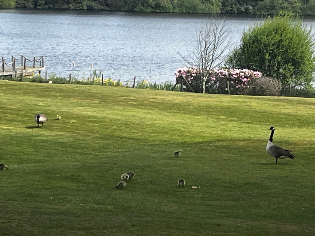 Champneys Forest Mere Spa-Liphook必去景点