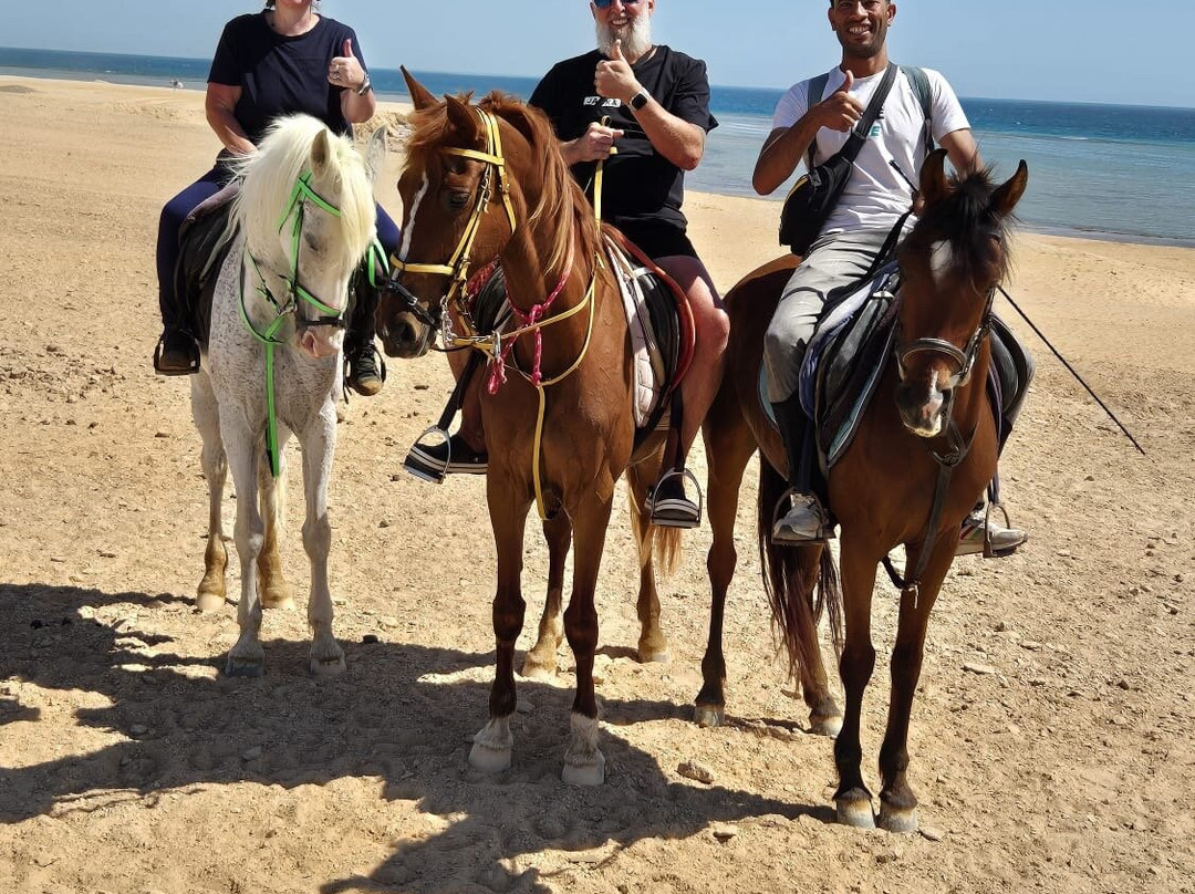 Horse Riding Hurghada-赫尔格达必去景点