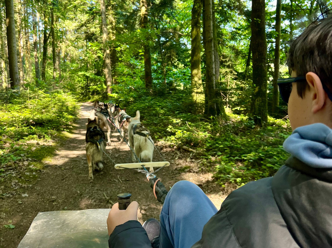 Sled Dog Ride-Saint-Symphorien必去景点