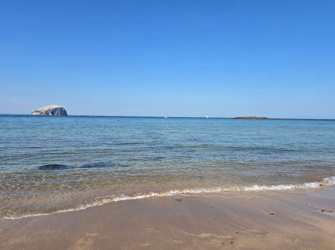 Seacliff Beach-北柏威克必去景点