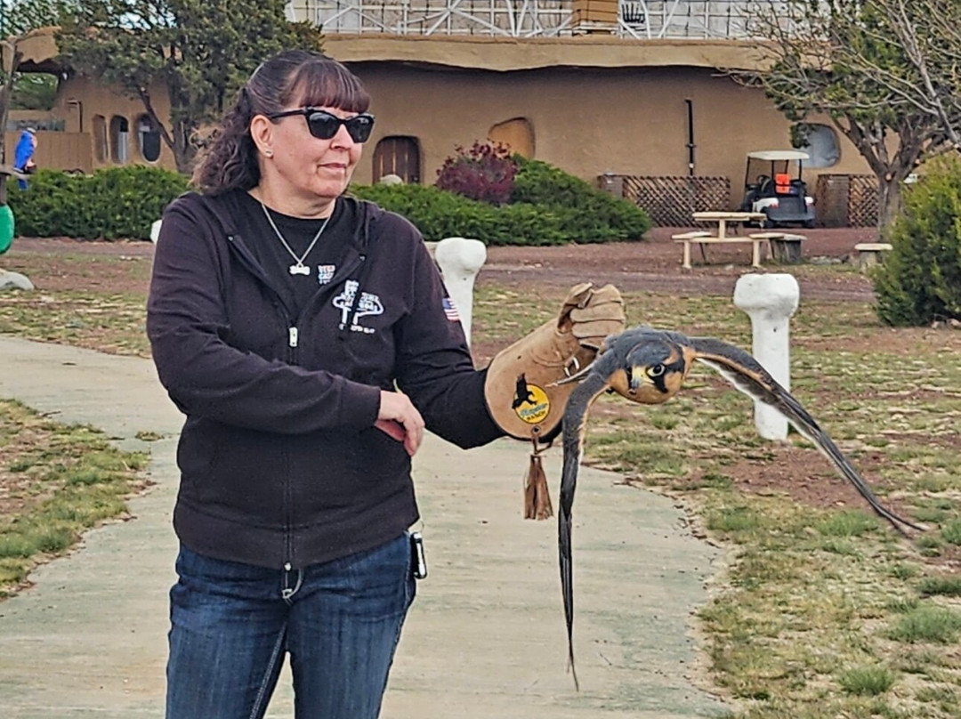 Raptor Ranch-威廉姆斯必去景点