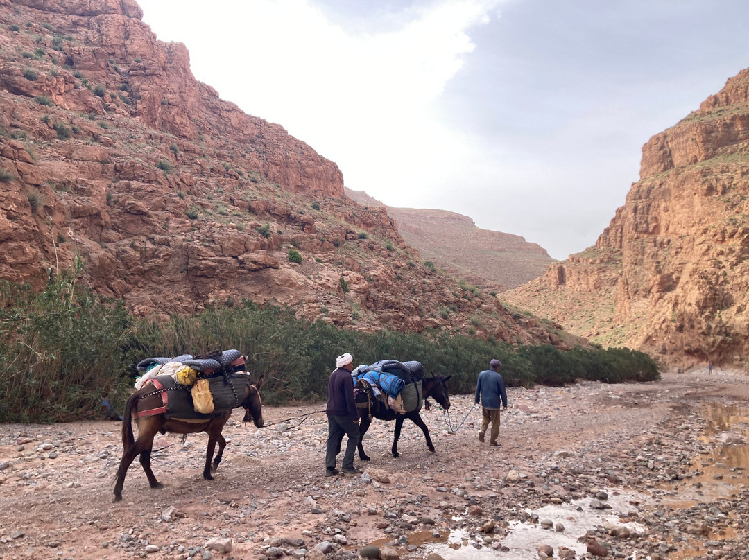 Zafrani-Taliouine必去景点
