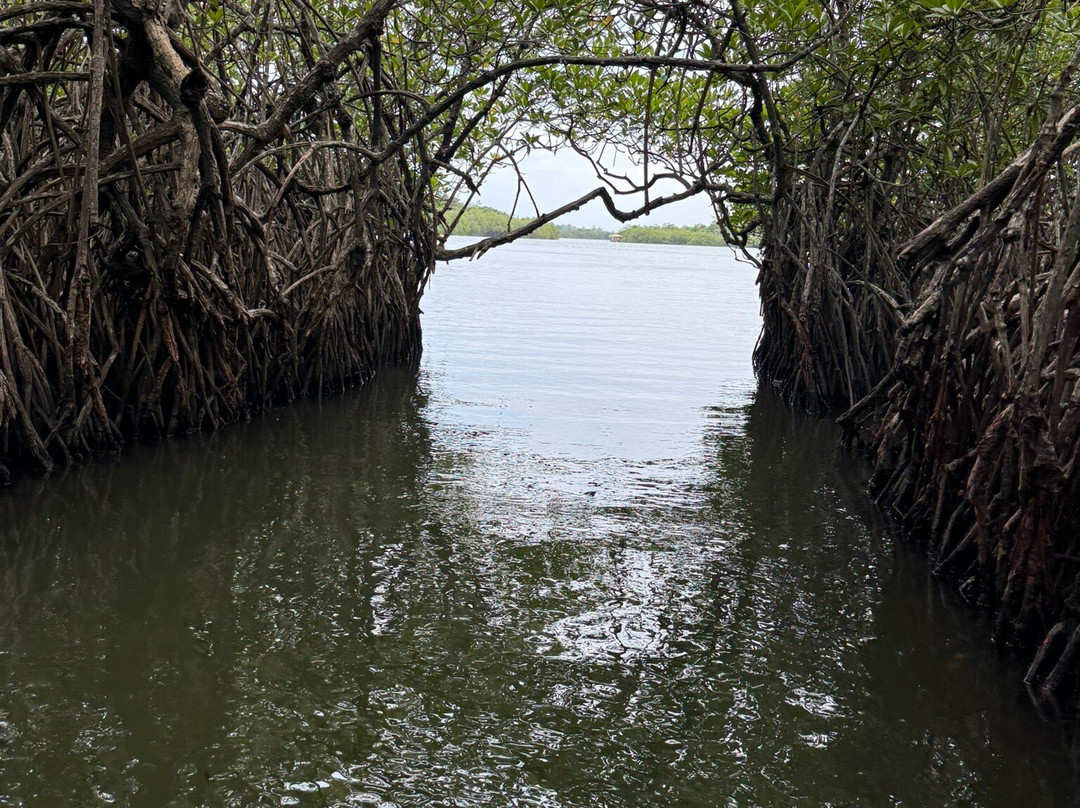 Nature Paradise Travels-科伦坡必去景点