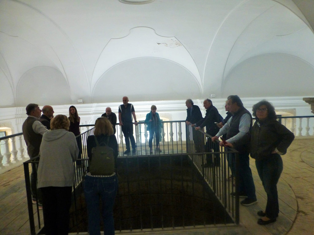 Museo de la Cultura del Olivo-巴埃萨必去景点