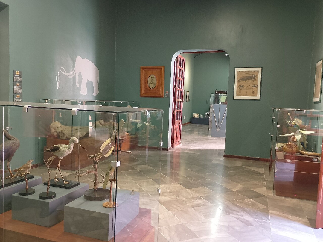 Museo Universitario Casa de Los Muñecos-普埃布拉必去景点