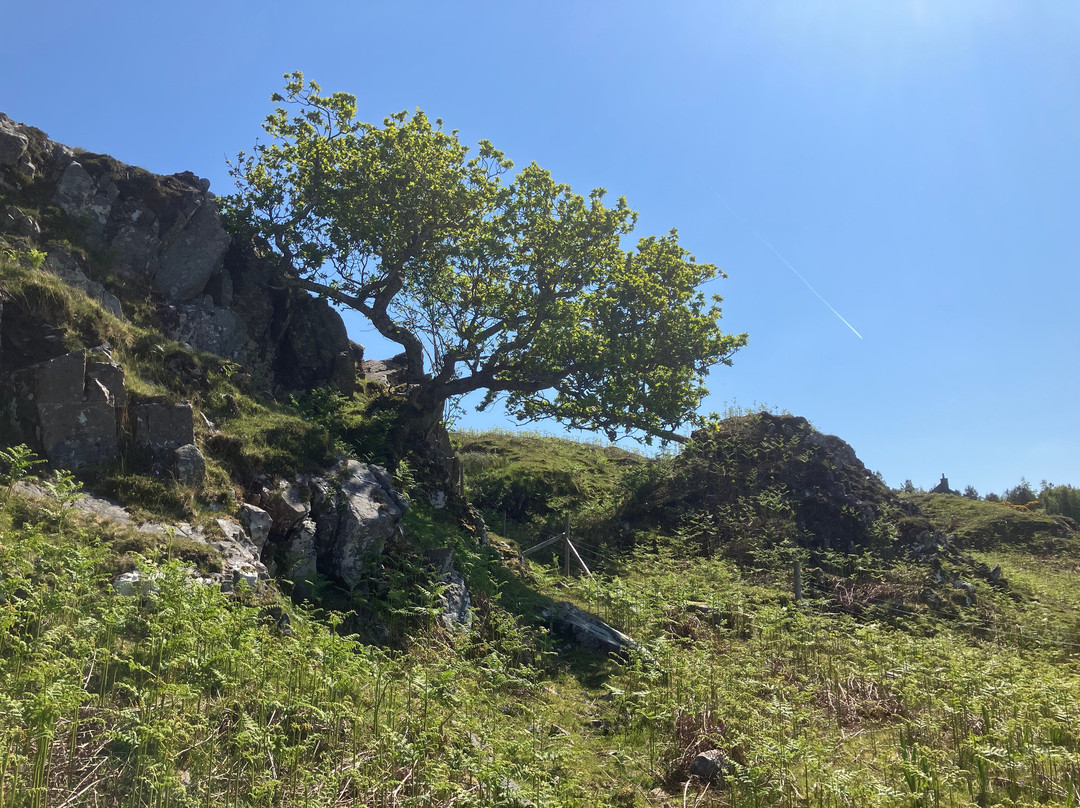 Knoydart Ranger Service-Inverie必去景点