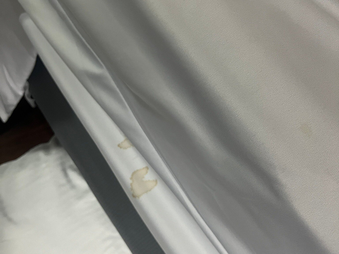 La Quinta Inn & Suites by Wyndham Temecula主图