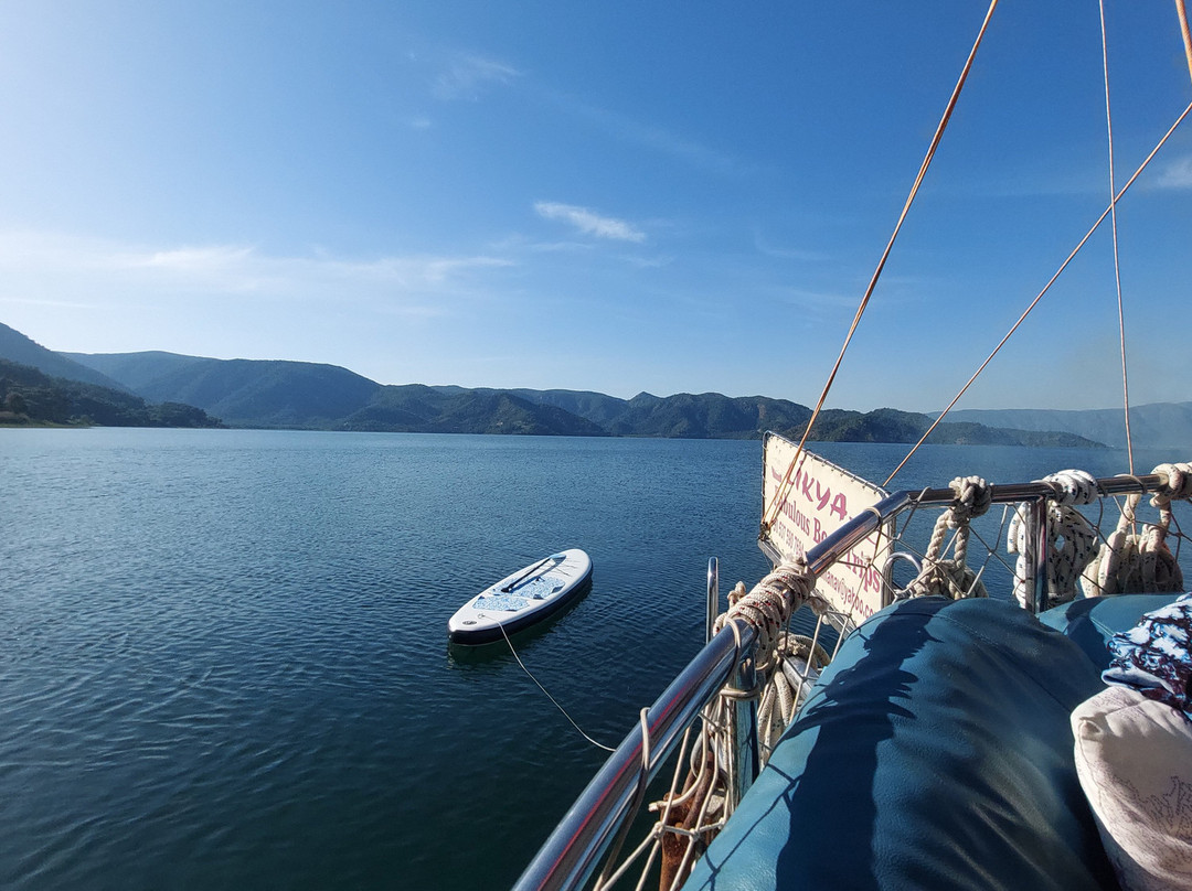 Dalyan Likya Boat景点图片