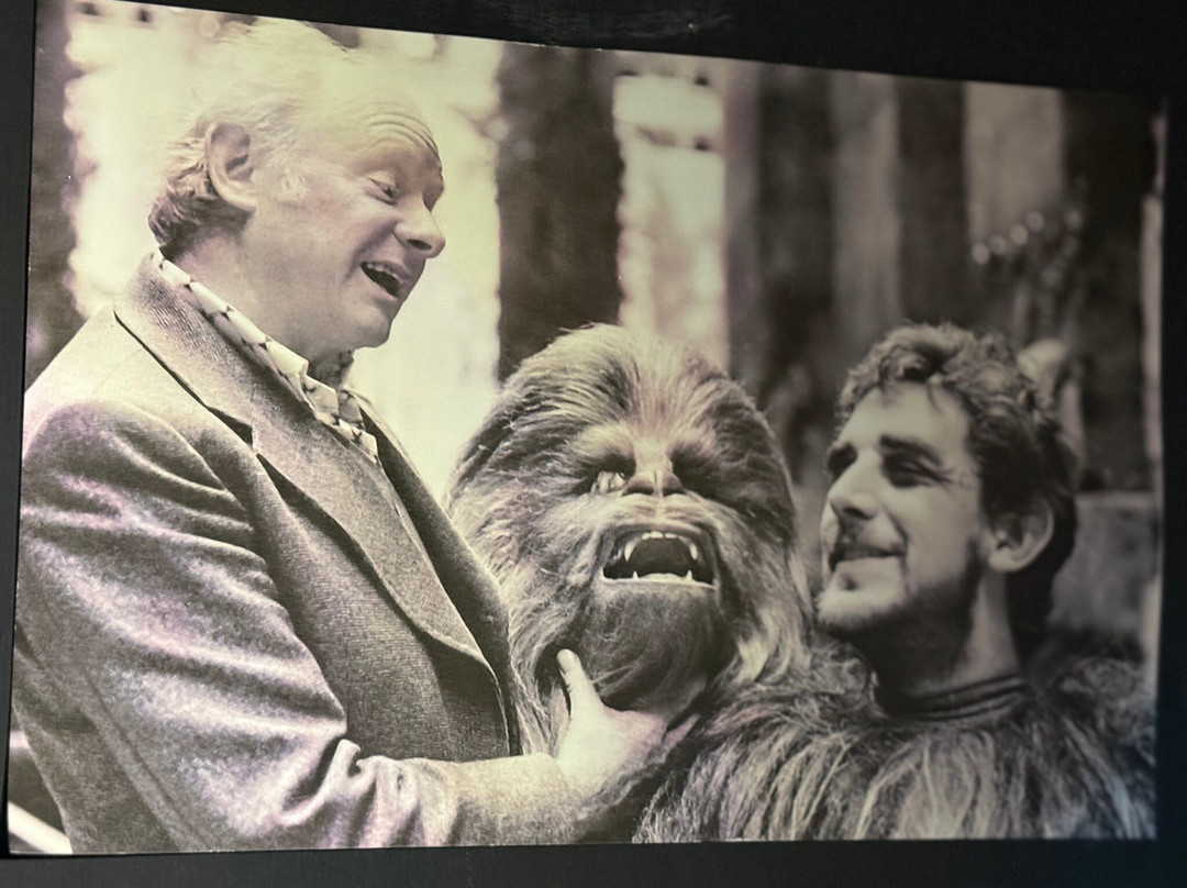 尤达盖伊电影展览-菲利普斯堡必去景点