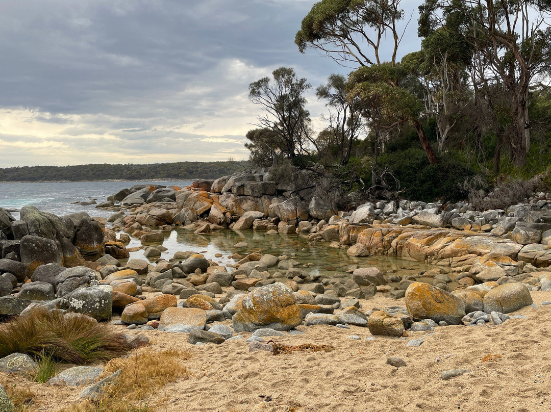 Bilalong Bay Beach景点图片