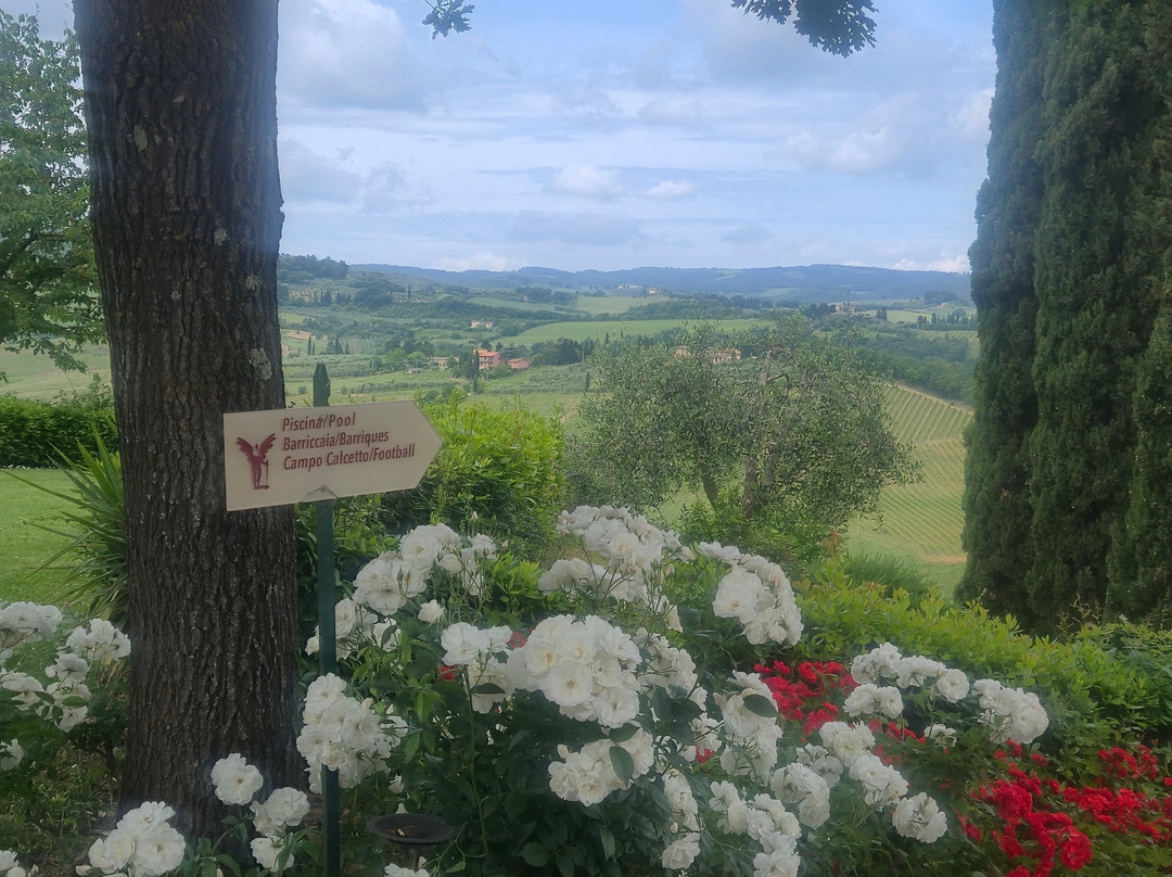 Poderi Arcangelo Winery景点图片