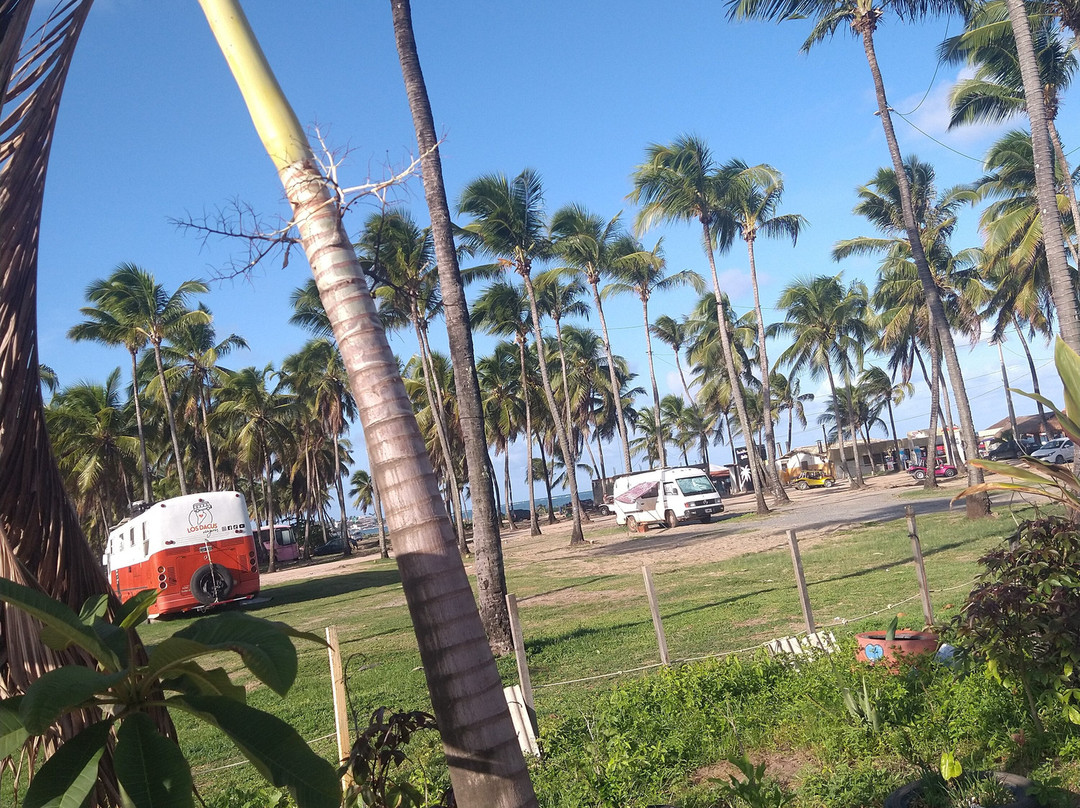 Praia De Maracaipe-嘎林海斯港必去景点