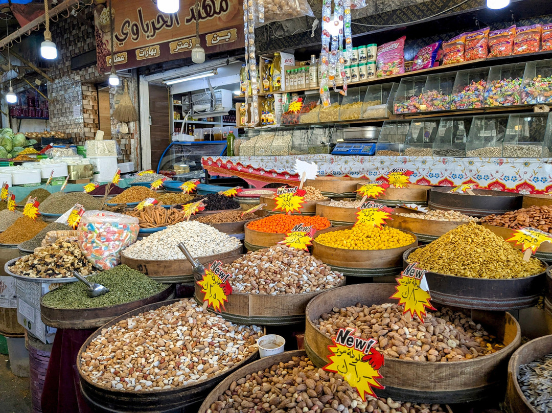 Saltus Travel-安曼必去景点