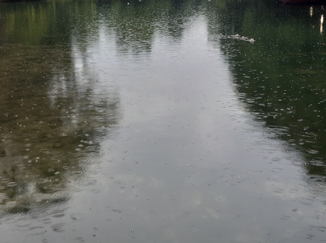 Driloni National Park-Pogradec必去景点