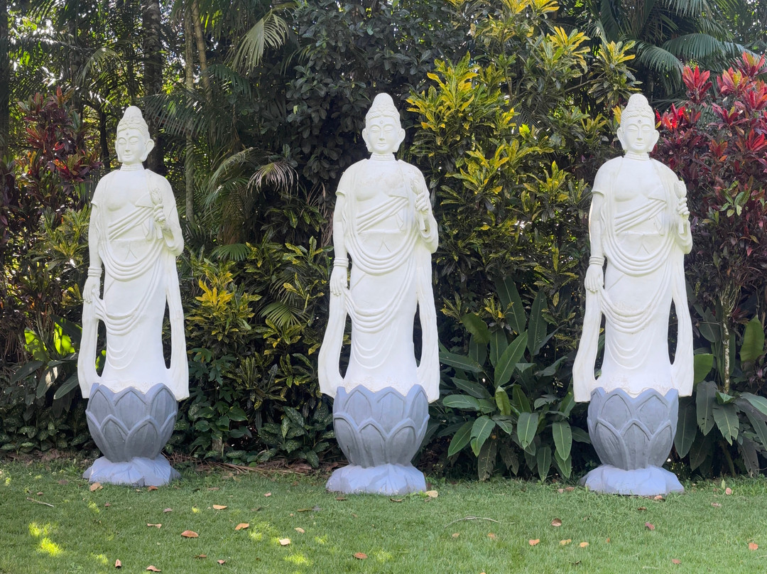 Mosteiro Zen Morro da Vargem景点图片
