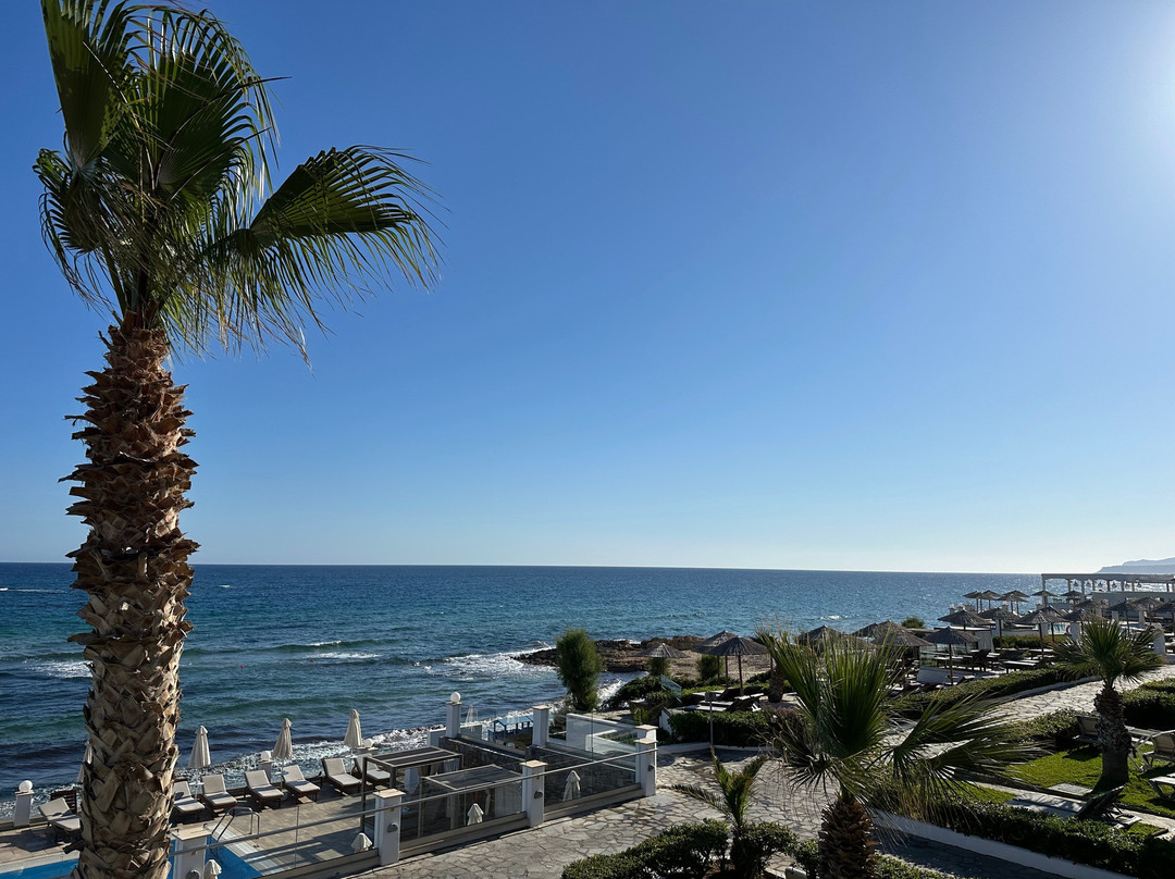 Alexander Beach Hotel & Village Resort主图