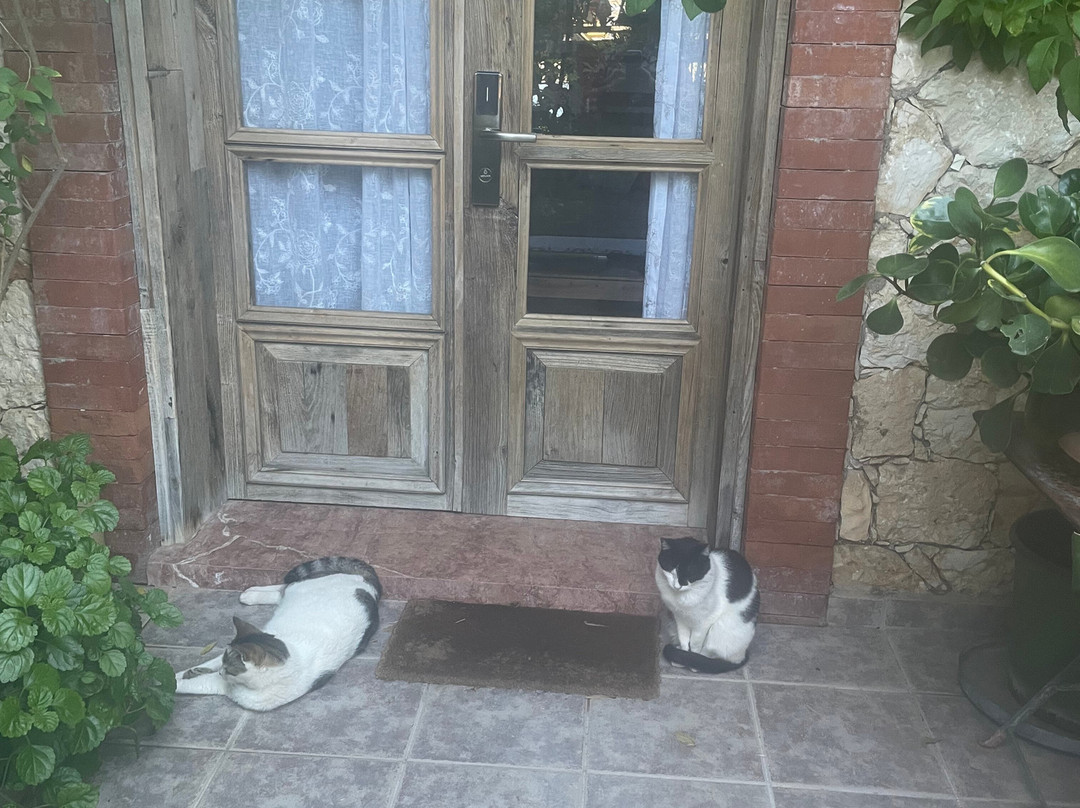 菲丹卡酒店主图