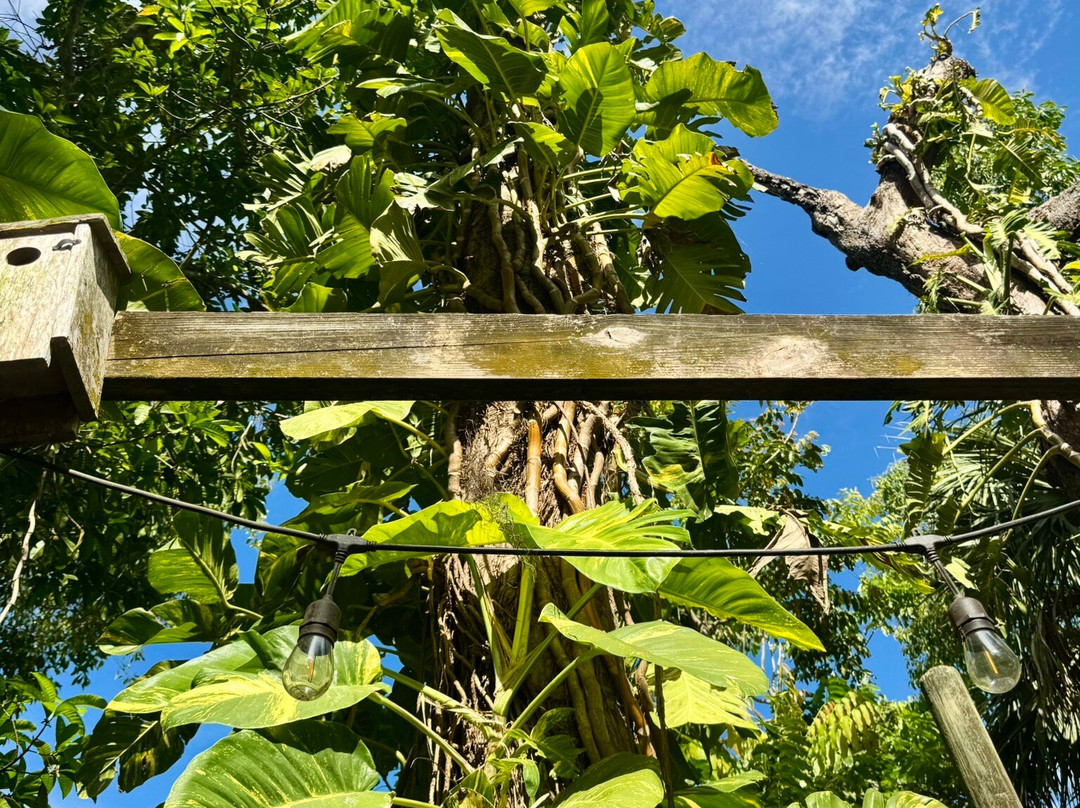 The Wonder Gardens-博尼塔斯普林斯必去景点