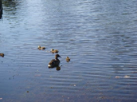 城市海洋酒店主图