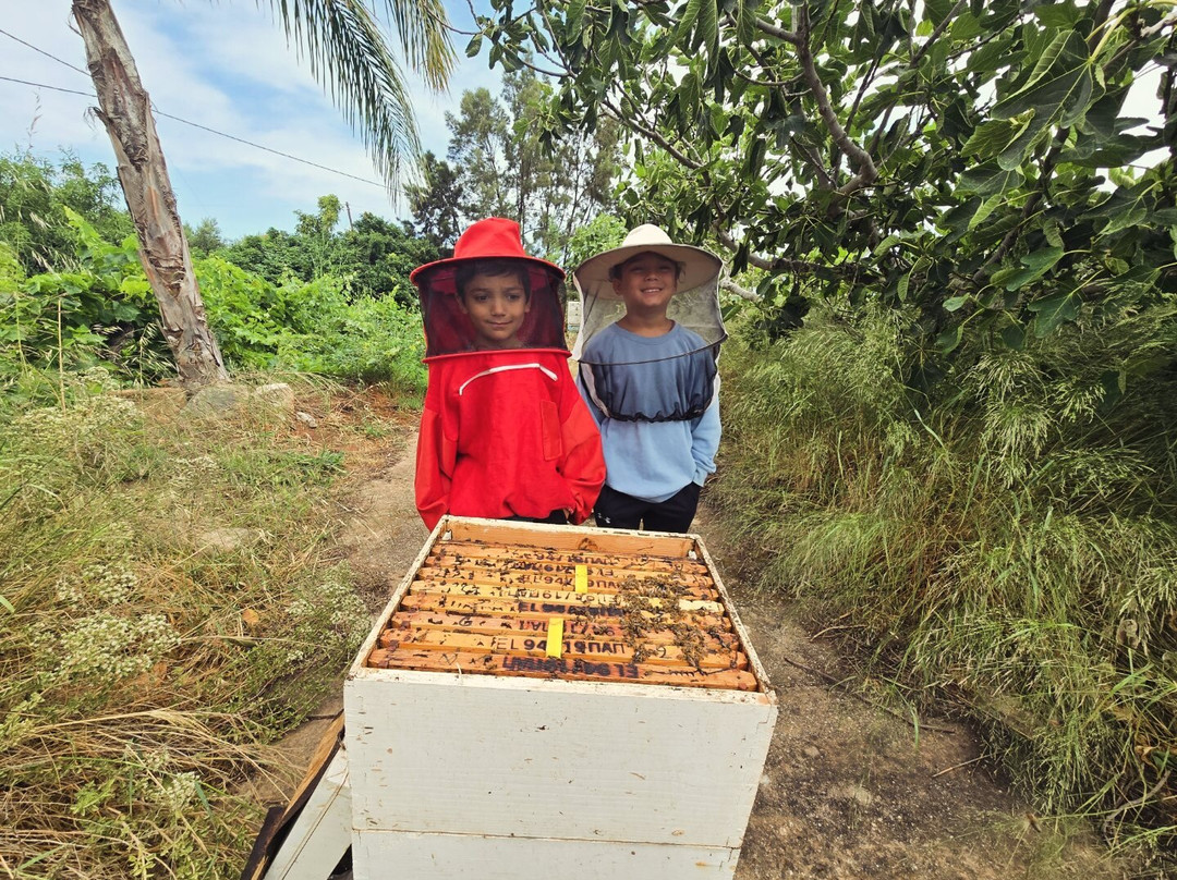 Melipap Apiary-Polemarchi必去景点