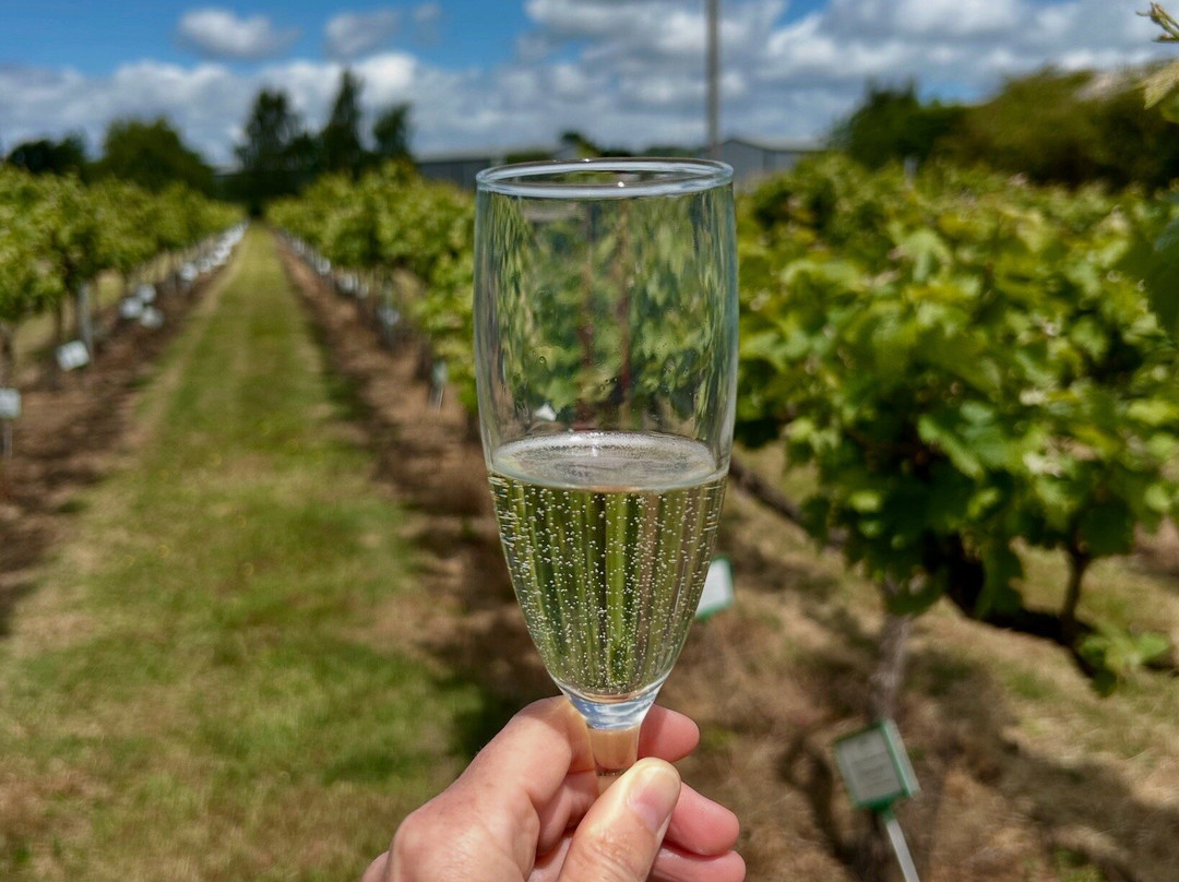 Little Oak Vineyard-奇平卡姆登必去景点