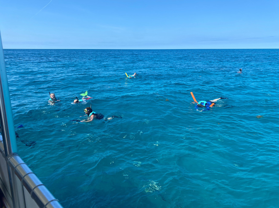 Solé Watersports景点图片