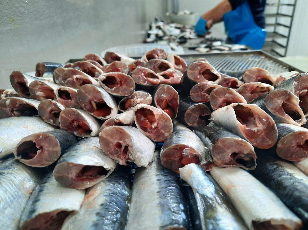 Conserveira do Arade - Saboreal景点图片
