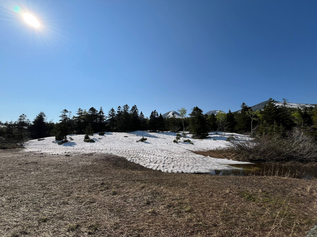 Suiren Pond-十和田市必去景点