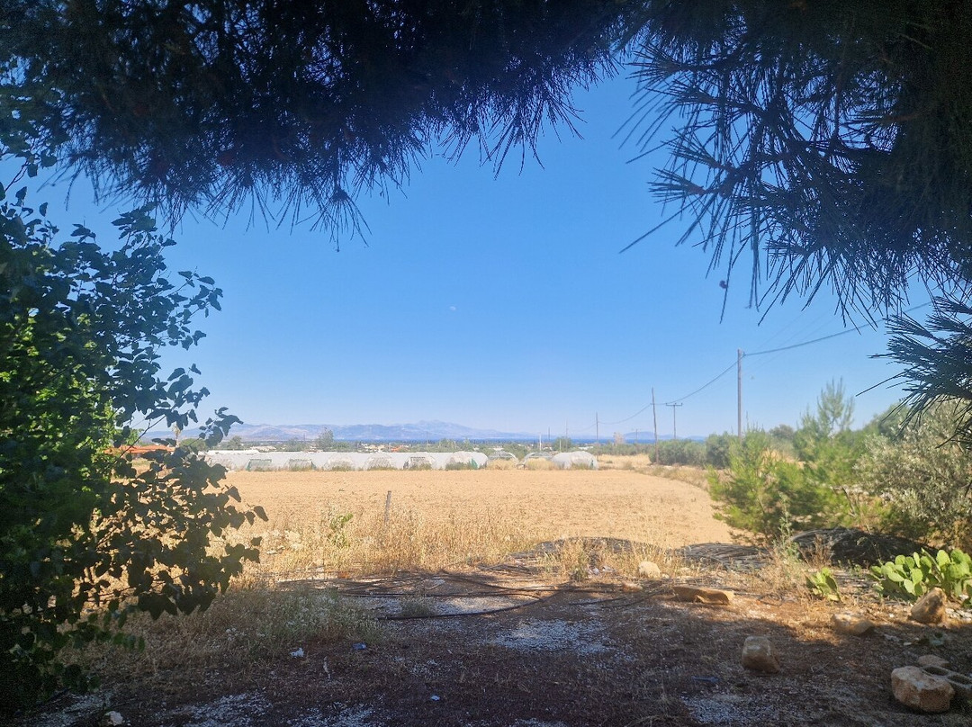 Archaeological Museum of Marathon-Marathon必去景点