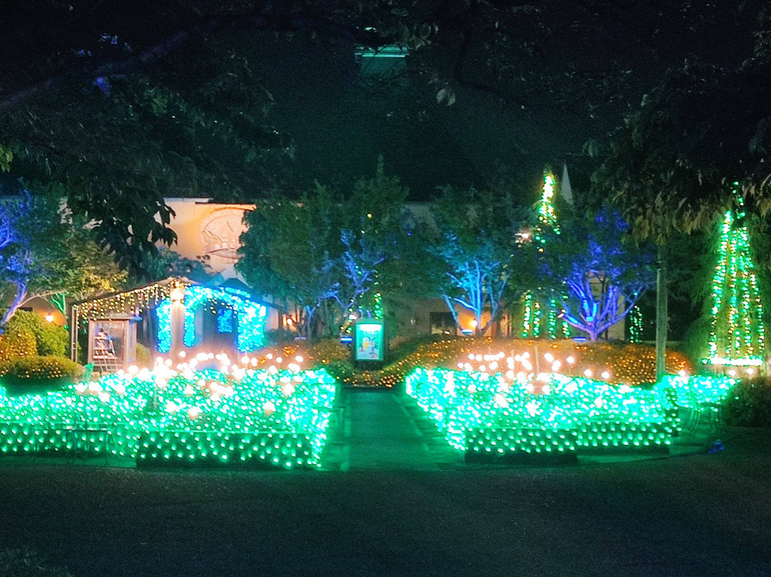 名花之乡-桑名市必去景点