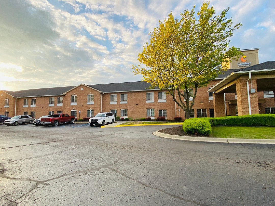 Comfort Inn & Suites主图