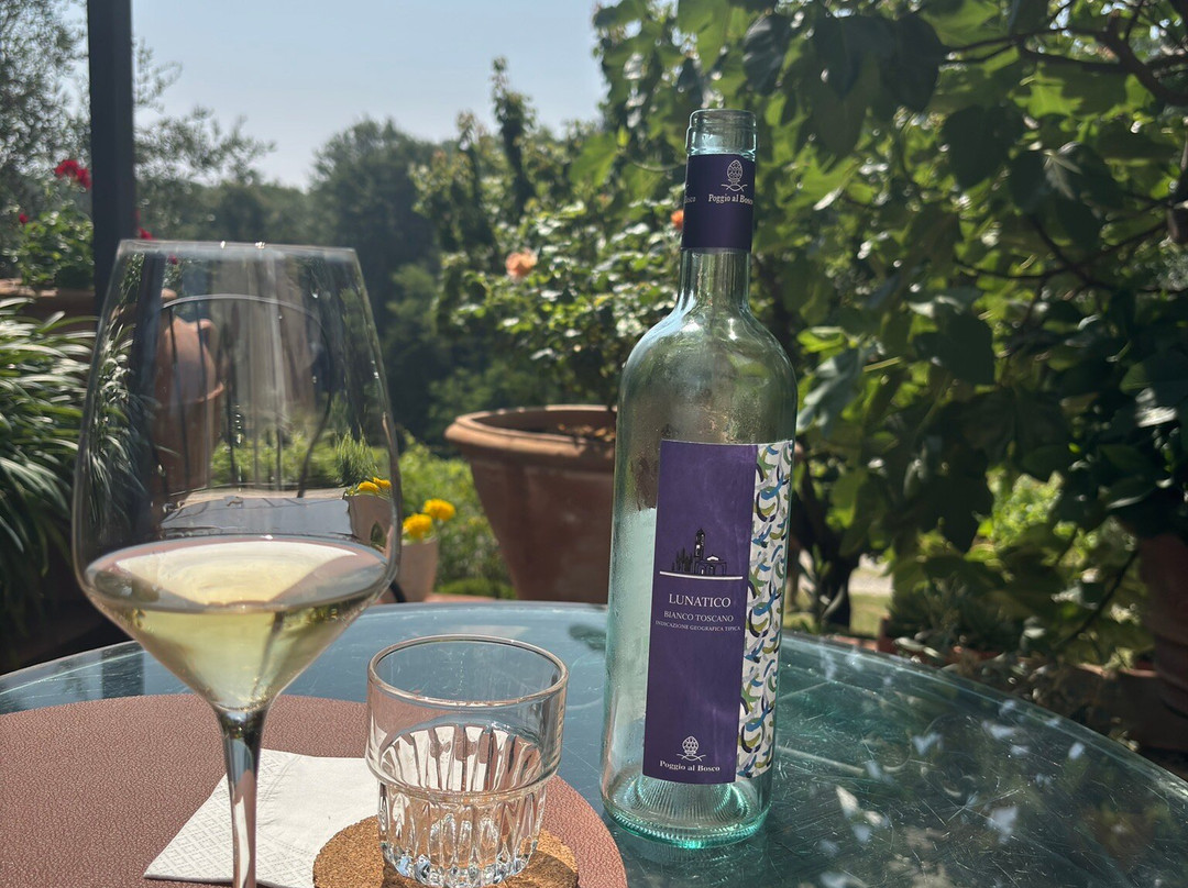 Poggio al Bosco景点图片
