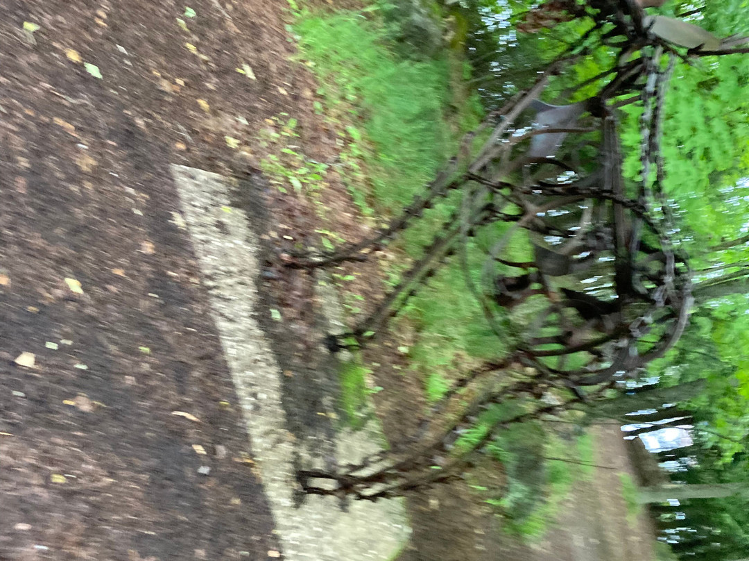 Haliburton Sculpture Forest景点图片