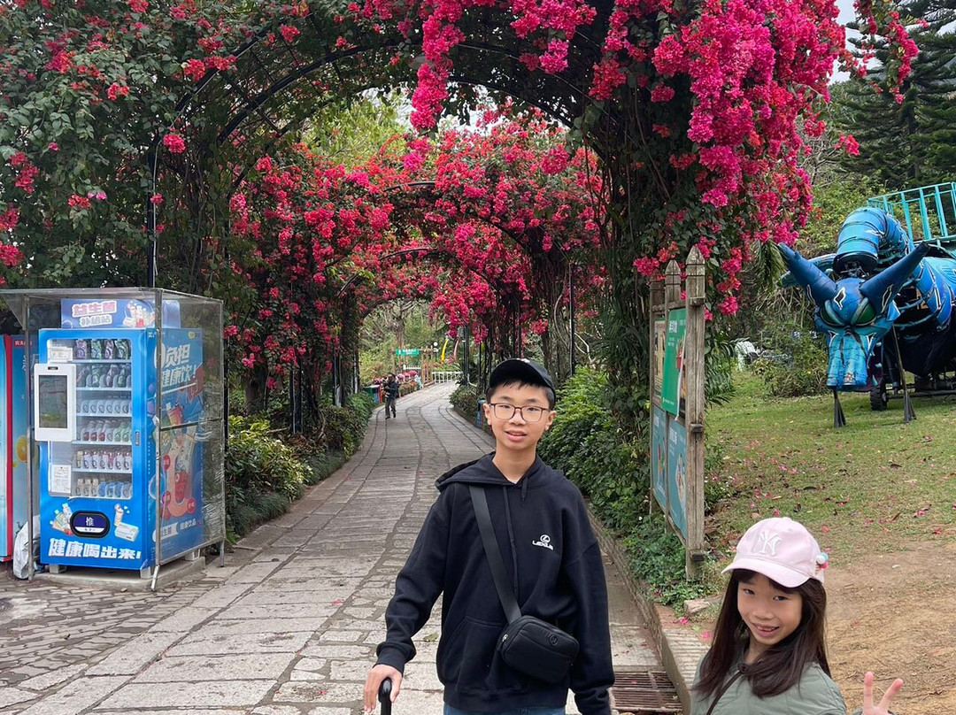 青青世界-深圳市必去景点