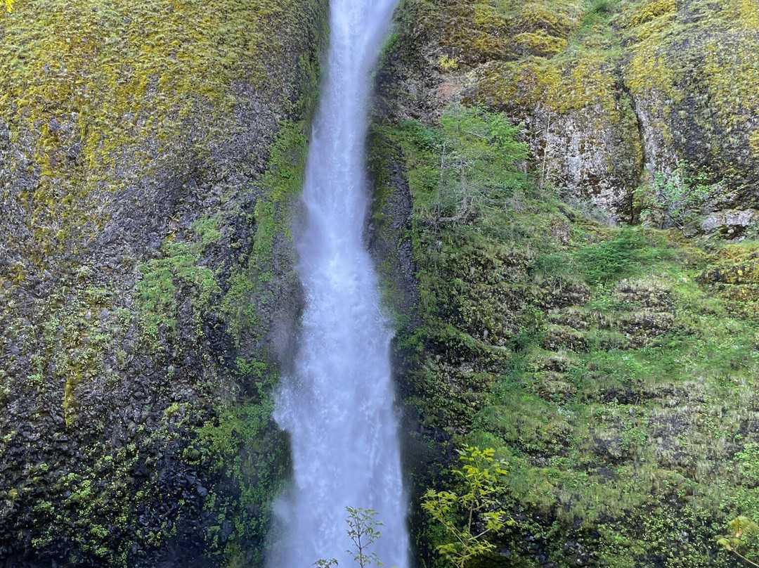 马尾瀑布-哥伦比亚河谷-胡德里弗必去景点