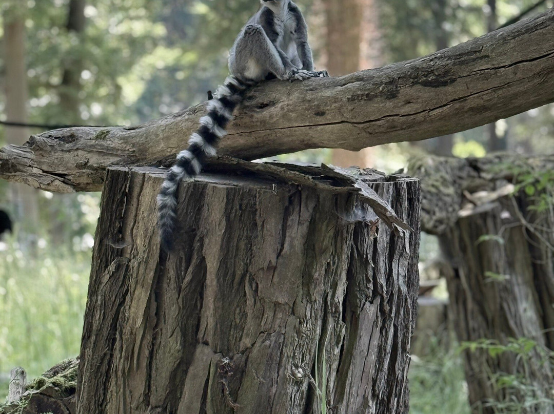 Tierpark Wolgast-Wolgast必去景点