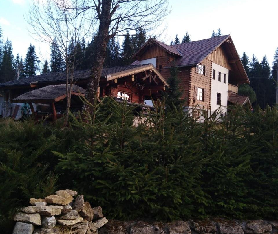 Borsec酒店住宿-Pensiunea Nostalgia