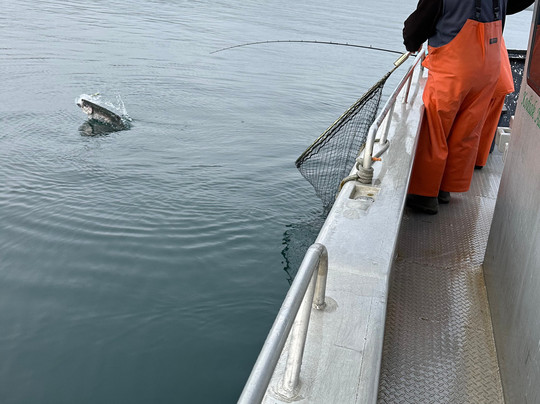 Kodiak Adventures Lodge Fishing Charters-科迪亚克岛必去景点