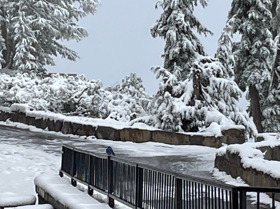 Crater Lake-火山湖国家公园必去景点