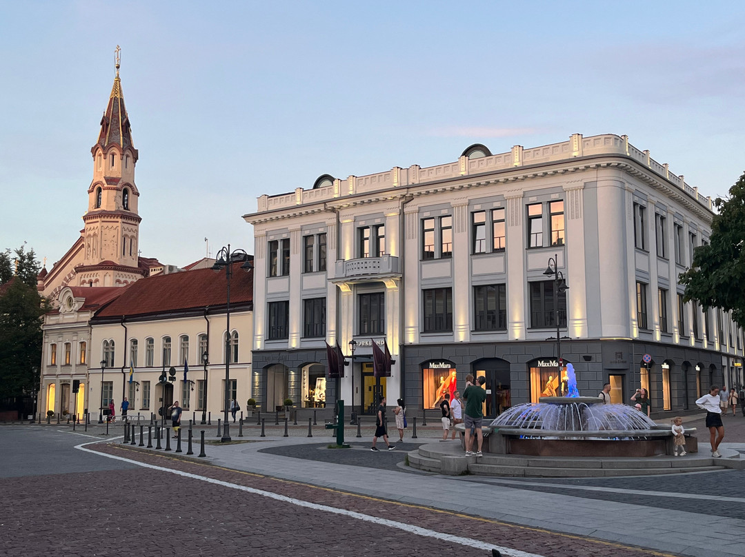 Gediminas Avenue-维尔纽斯必去景点