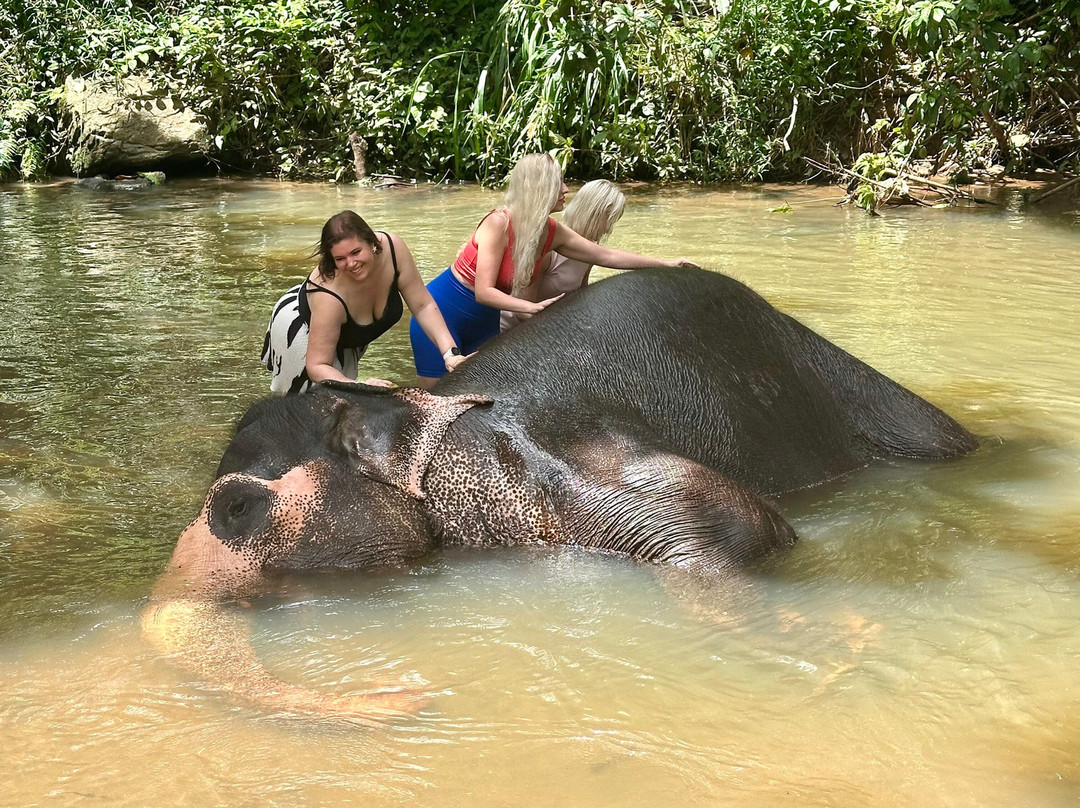 Sri Lanka private Driver DD-卡图纳耶克必去景点