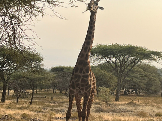 Global Experience-阿鲁沙必去景点