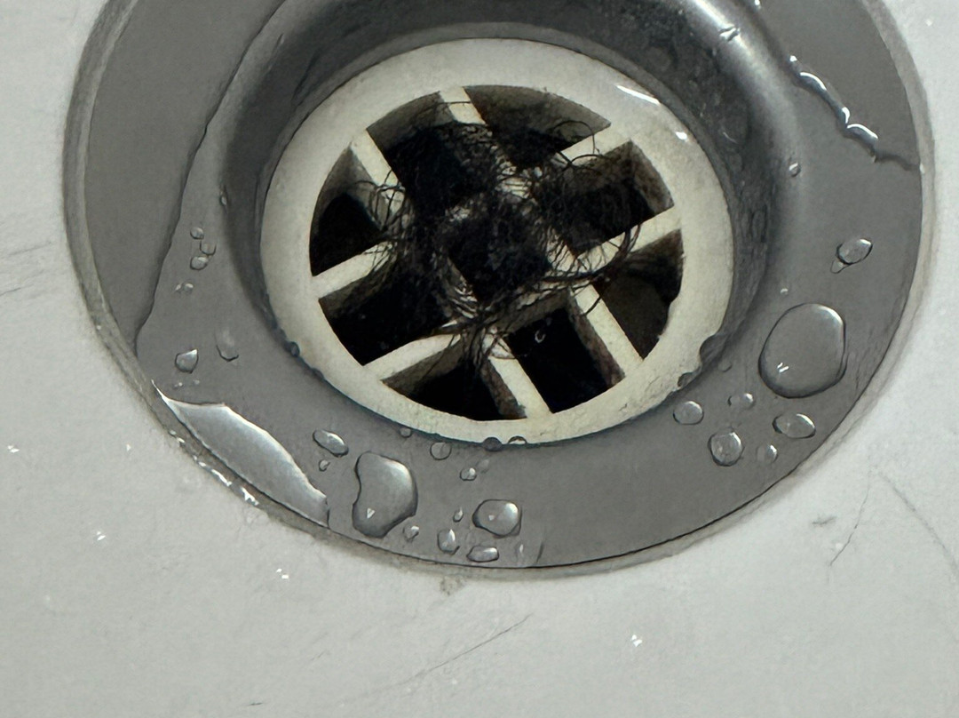 Courtyard Motor Inn主图