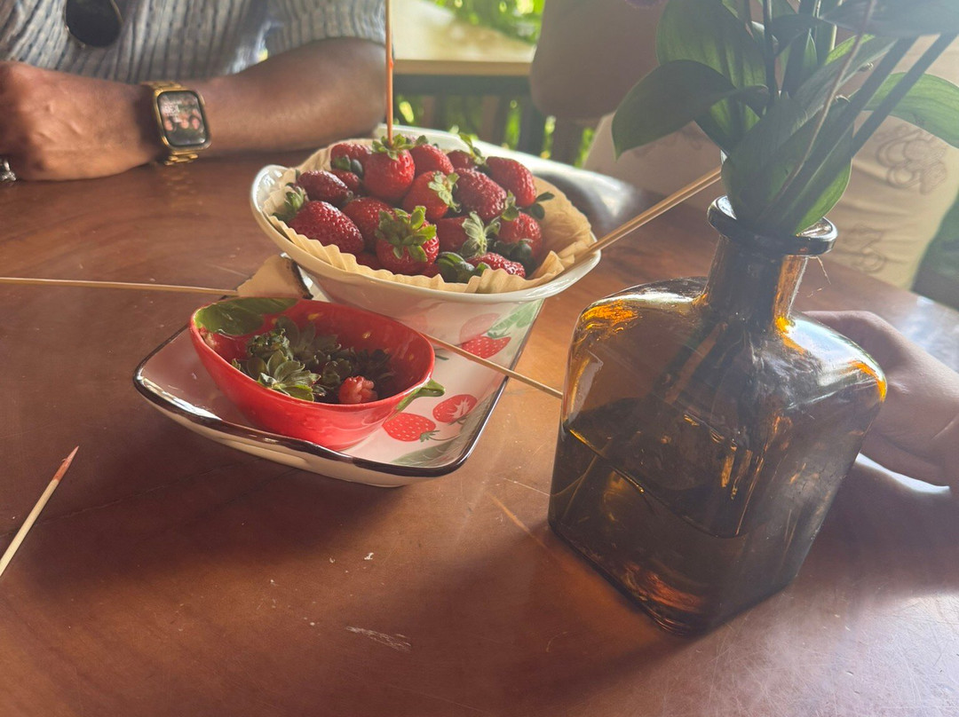 Fresas Ariyami-Constanza必去景点