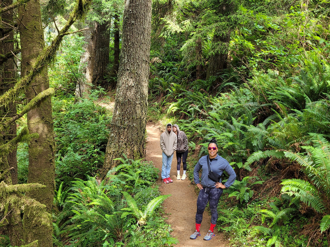 Natural Bridges Viewpoint-布鲁金斯必去景点