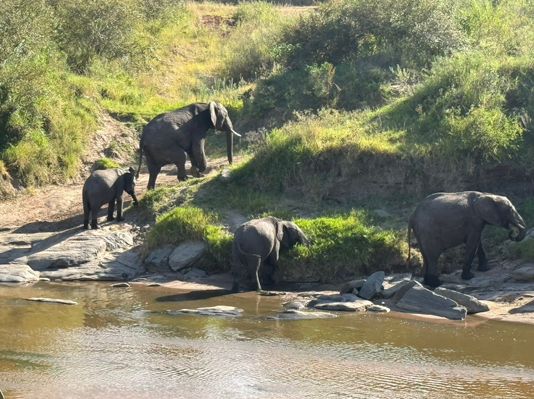 Twende Development and Travel-Eldoret必去景点