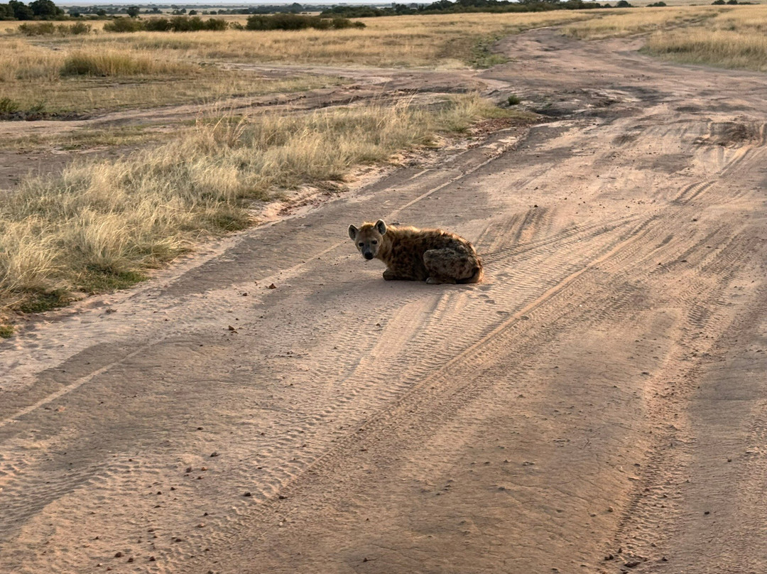Twende Development and Travel-Eldoret必去景点