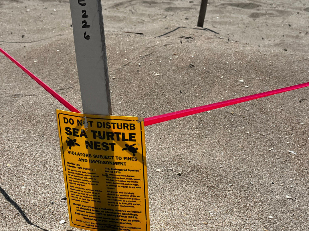 Seahorse Guesthouse主图