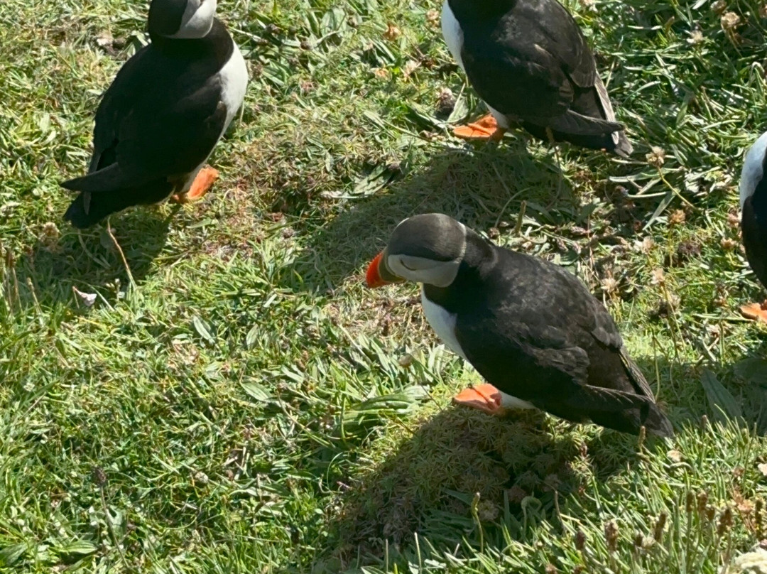 Shetland Footprints Guided Tours-Whiteness必去景点